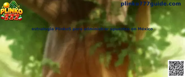 Guía visual sobre estrategia PlinkoS para administrar apuestas en México, presupuesto y gestión responsable del riesgo